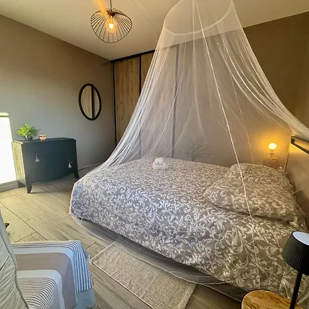 Palmiers 5 Min De La Mer, Confortable 4 Personnes, Parking Free, Villa